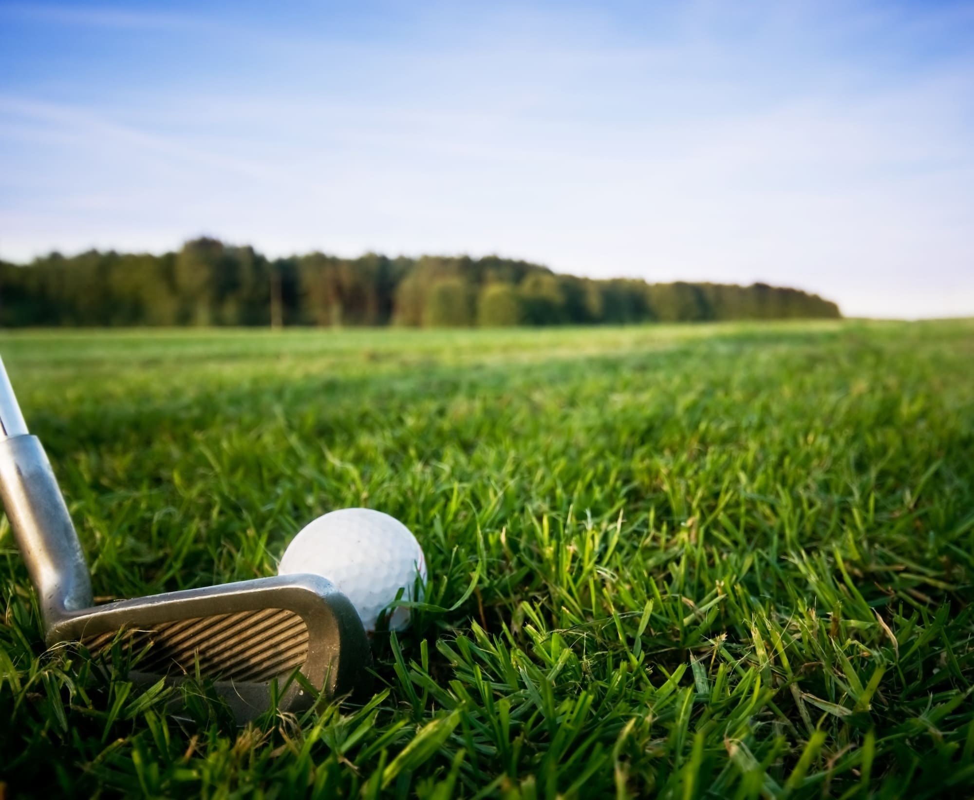 Golf club with ball on course